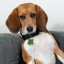 Load image into Gallery viewer, Squirrel Patrol Collar Charm
