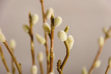 Load image into Gallery viewer, Pussy Willow Artificial Bouquet